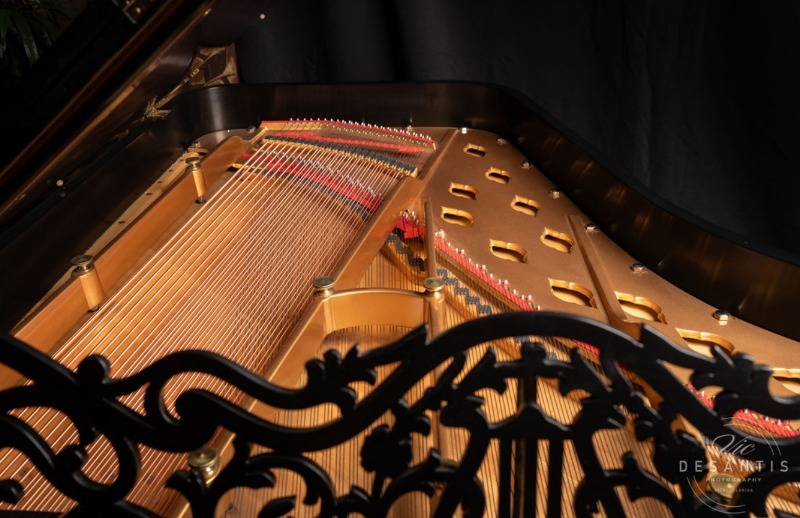 Atlantic Music by Victor DeSantis Photography (3).JPEG